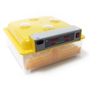 couveuse automatique